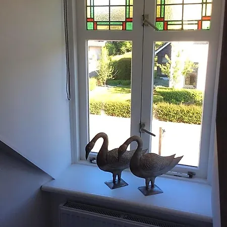 Bed & Breakfast De Bloemenhof Ouddorp