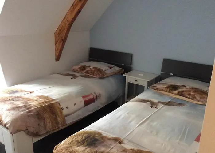 فندق مبيت وإفطار De Bloemenhof 3*