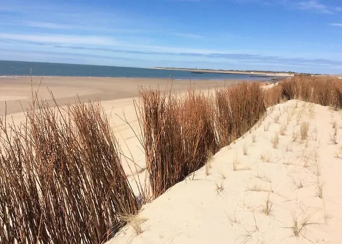 فندق مبيت وإفطار De Bloemenhof آودورب