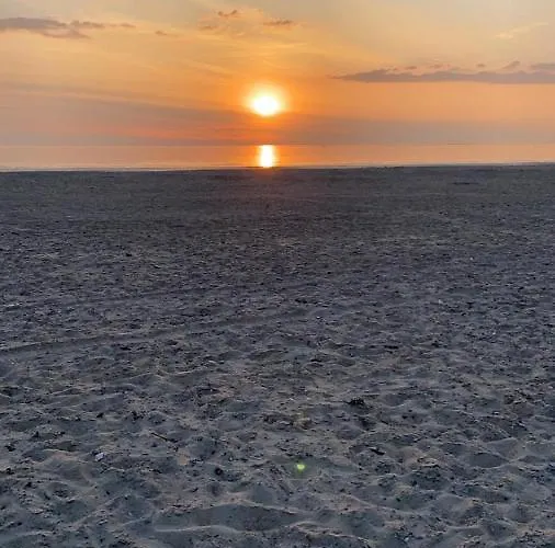 فندق مبيت وإفطار De Bloemenhof